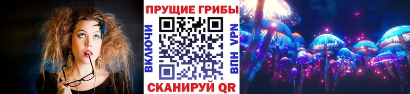 купить наркотики сайты  Липки  Псилоцибиновые грибы Magic Shrooms 